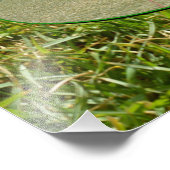 今季の芝鉢ゲームのトップに立つ フォトプリント            (角)