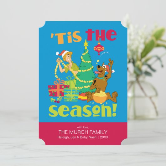 今季 (スタンド正面)