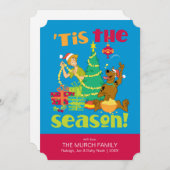 今季 (正面/裏面)