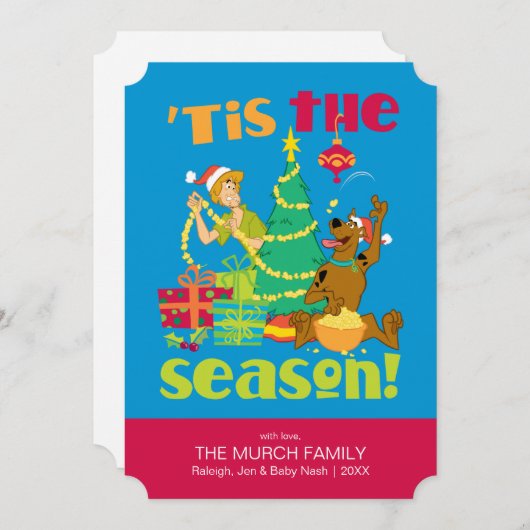 今季 (正面/裏面)