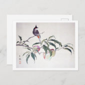 今尾渓念鳥 ポストカード (正面/裏面)