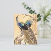 今尾渓然春の孔雀 ポストカード (スタンド正面)