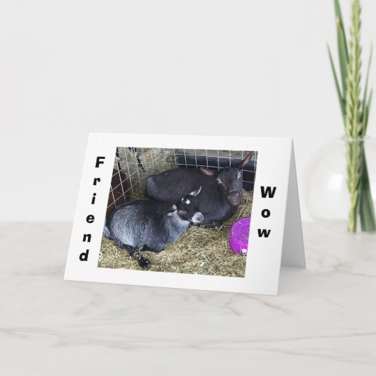 今年のことわざは何歳なの?カード カード (正面)