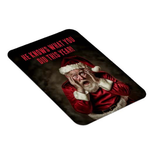 今年のクリスマスはサンタが何をしたかおもしろい知っている マグネット (右側)