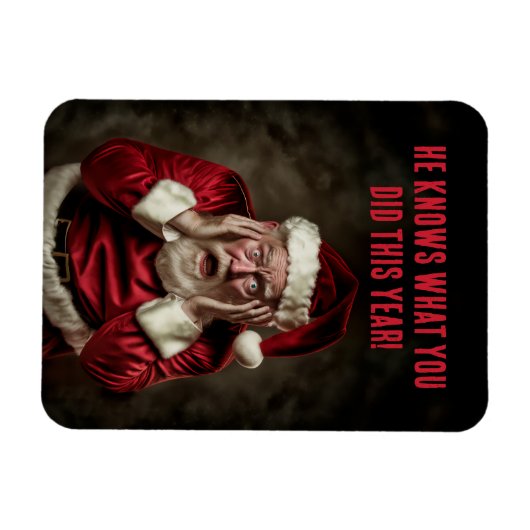 今年のクリスマスはサンタが何をしたかおもしろい知っている マグネット (横)