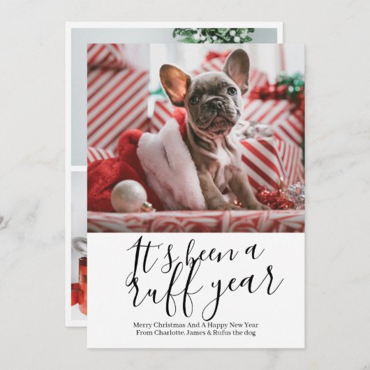 今年の犬のクリスマスは荒れ果てパーソナライズされたた シーズンカード (正面/裏面)