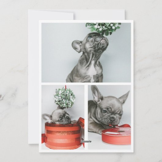 今年の犬のクリスマスは荒れ果てパーソナライズされたた シーズンカード (裏面)