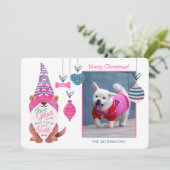 今年はラフおもしろい格言犬の写真が少ない シーズンカード (スタンド正面)