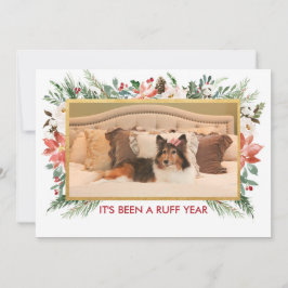 今年は荒れ果てた |犬の写真クリスマス シーズンカード
