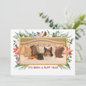 今年は荒れ果てた |犬の写真クリスマス シーズンカード (スタンド正面)