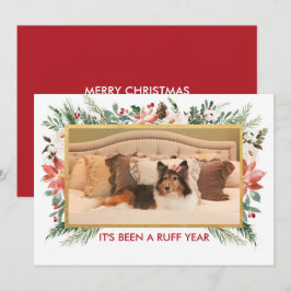 今年は荒れ果てた |犬の写真クリスマス シーズンカード