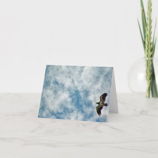 今後の可能性 カード (正面)