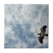 今後の可能性 タイル (正面)