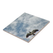 今後の可能性 タイル (側面)