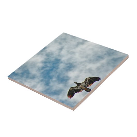 今後の可能性 タイル (側面)