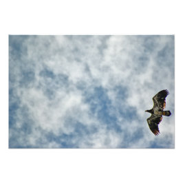 今後の可能性 フォトプリント           