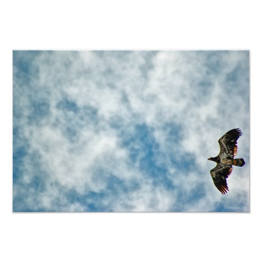 今後の可能性 フォトプリント            (正面)