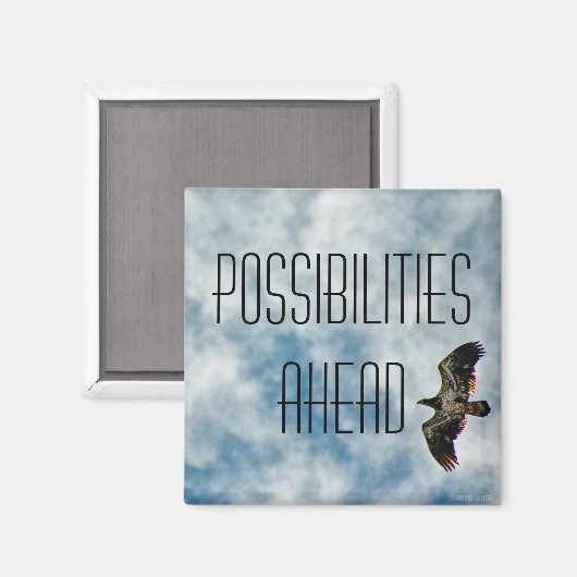 今後の可能性 マグネット (正面/裏面)
