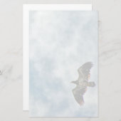 今後の可能性 便箋 (正面/裏面)