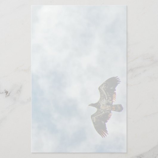 今後の可能性 便箋 (正面)