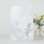 今後の可能性 便箋 (スタンド正面)