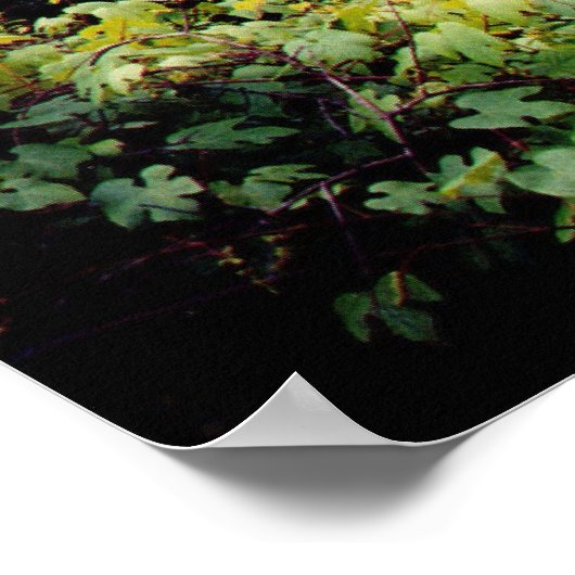 今後の状況 ポスター (角)