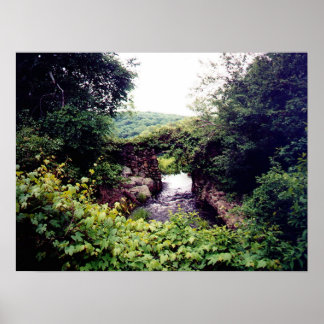 今後の状況 ポスター