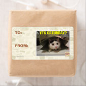 今日か? ラベル (インサイチュ)