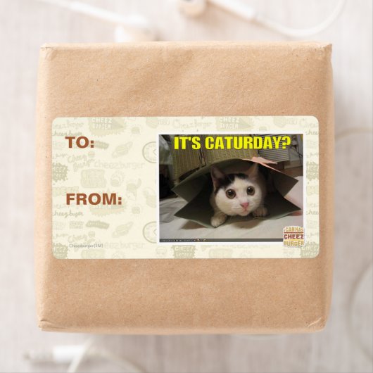 今日か？ ラベル (インサイチュ)