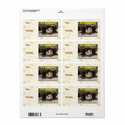 今日か? ラベル (フルシート)