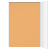 今日が日だ (内側 (左))