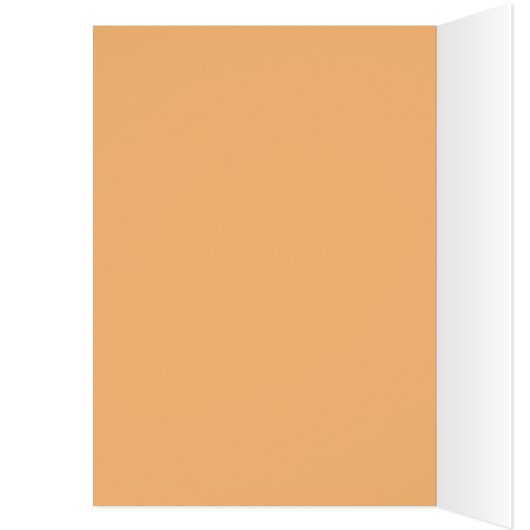 今日が日だ (内側 (左))