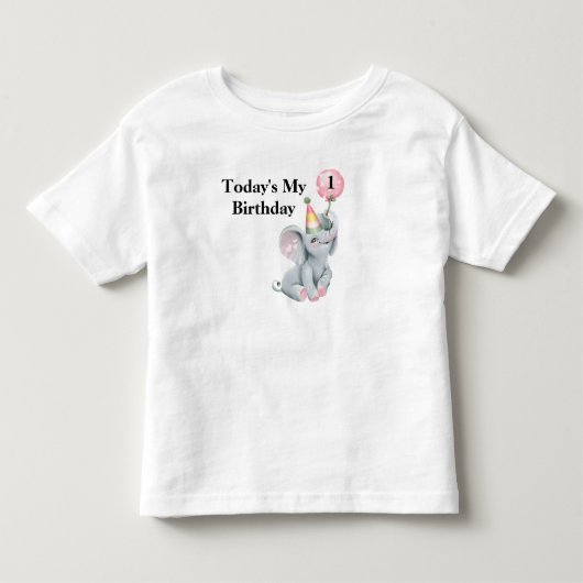今日が私の誕生日 カスタム トドラーTシャツ (正面)