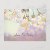 今日だけ… ポストカード (正面)