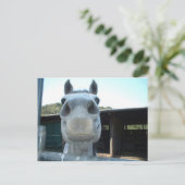 今日だけ ポストカード (スタンド正面)