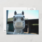 今日だけ ポストカード (正面/裏面)