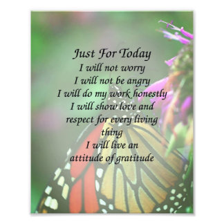 今日だけ（昆虫）オオカバマダラ、モナーク蝶感動的 フォトプリント           