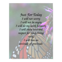 今日だけ（昆虫）オオカバマダラ、モナーク蝶感動的