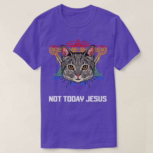 今日ではないイエスLGBTキャットプレミアムTシャツ Tシャツ (デザイン正面)