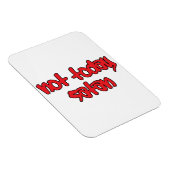 今日ではないサタン マグネット (右側)