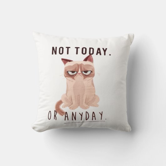 今日でも今日でもない クッション (正面)