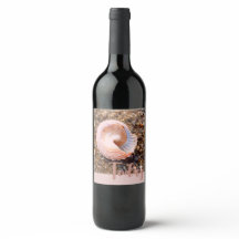 今日のお祝いのピンク淡い色のの美しい貝殻