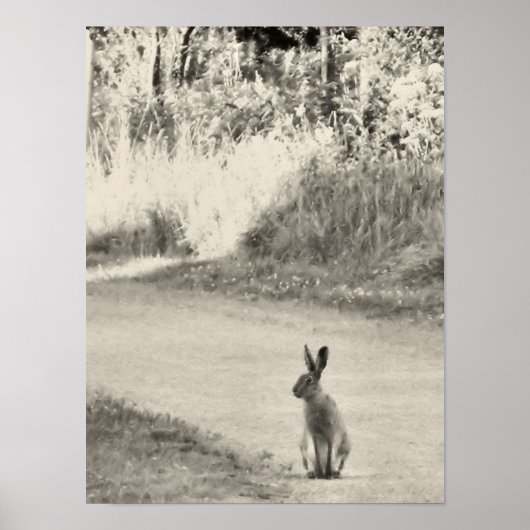 今日のウサギ ポスター (正面)
