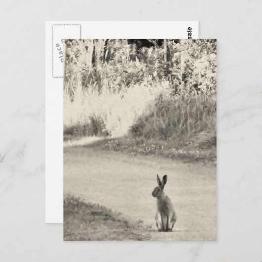 今日のウサギ ポストカード (正面/裏面)