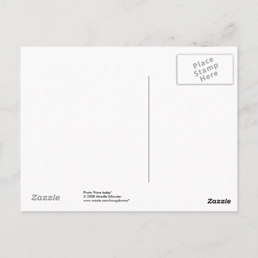 今日のウサギ ポストカード (裏面)