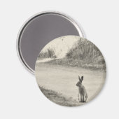 今日のウサギ マグネット (正面/裏面)