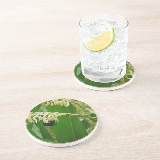 今日のミツバチにはトウモロコシの花粉が美味しい。 コースター (側面)