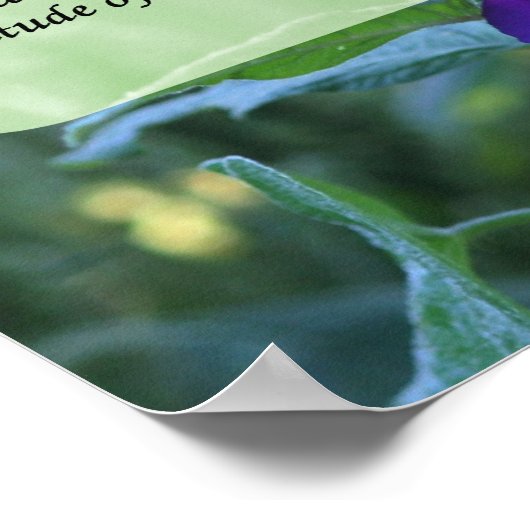 今日の朝顔だけ感動的 ポスター (角)