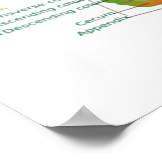 今日の生活は胃腸消化器系が多い ポスター (角)