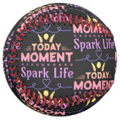 今日の瞬間、Spark Life ソフトボール (正面左)